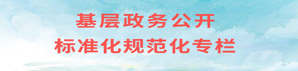 基層政務公開標準化規范化建設專欄
